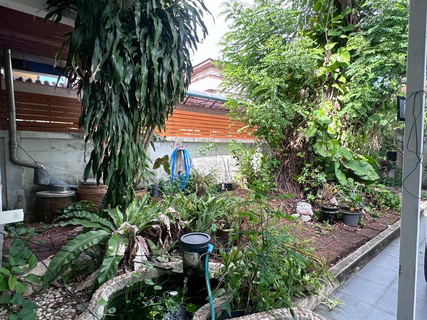 ให้เช่าบ้านเดี่ยว หมู่บ้านเสม็ดทองธานี